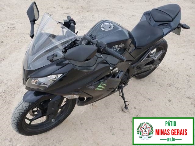 NINJA 300